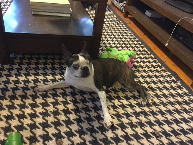 Her new Christmas toy