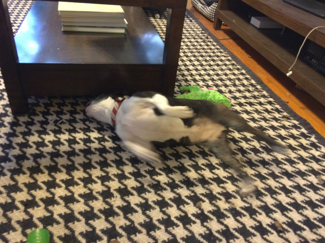 Epic action shot