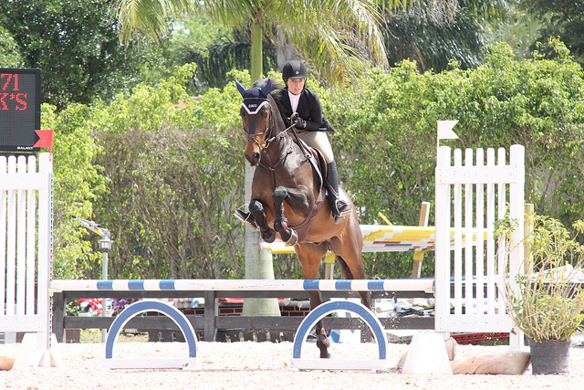 8615641756_d7ec455d53_z