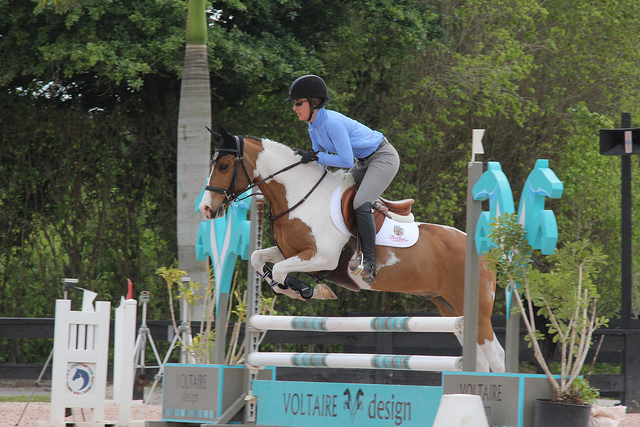 8615650584_bf4eb96c82_z