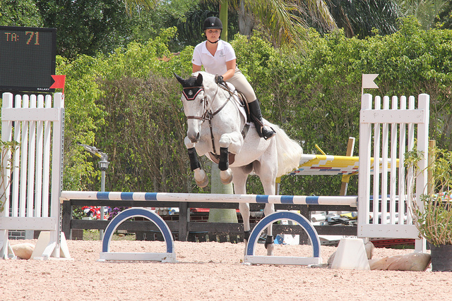 8615658996_67bef181bc_z