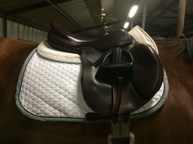 16298778170_c09871c99c_z1