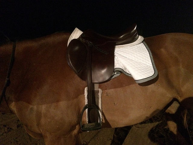 16300305327_86d3165174_z