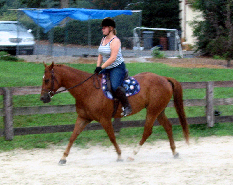 elvisjuly5