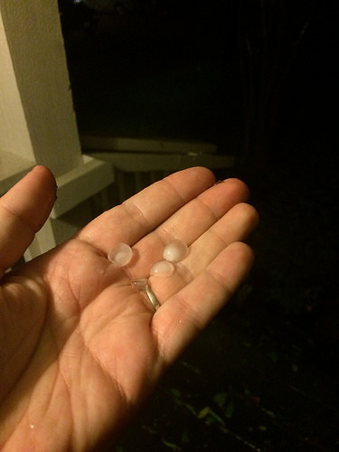 17026173009_8ee11224b2