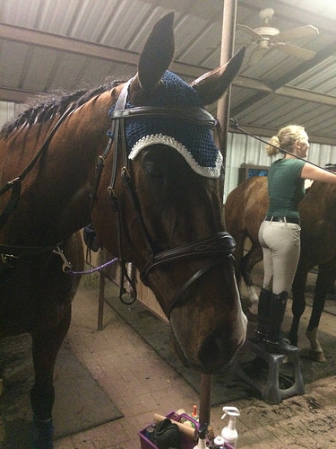 17254783801_204f7b0bf9