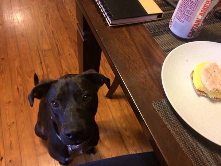Pascale wishes I would "forget" to eat the rest of my breakfast