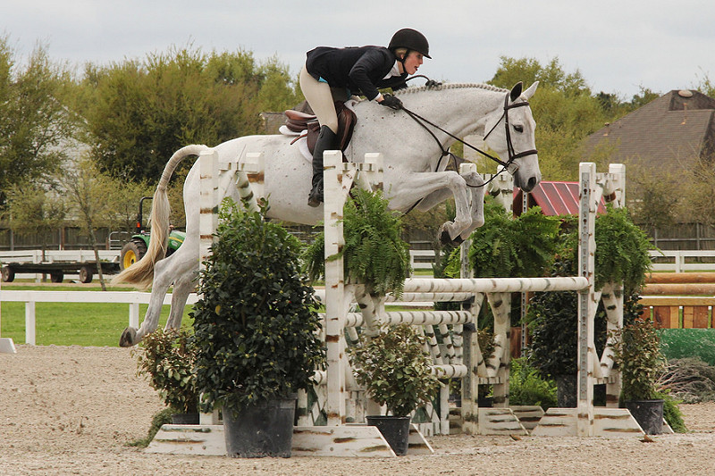 I'll take one of these please