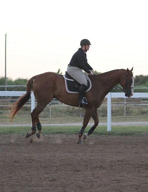 28119535423_b3a2042729_z