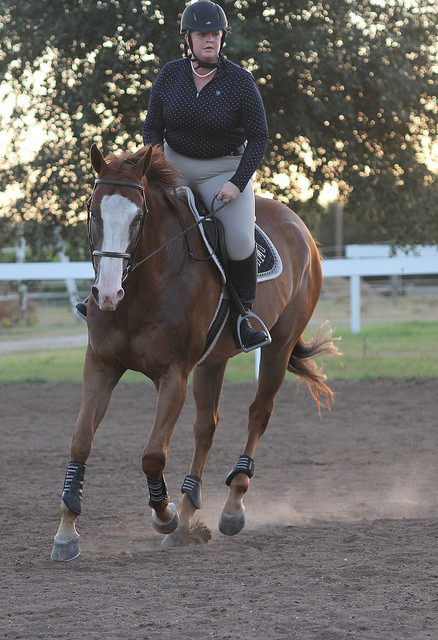 28119562053_2de5d9ca2f_z