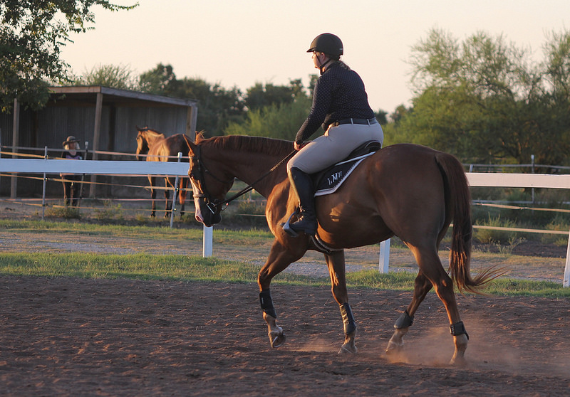 28119599883_b9fa02d265_c