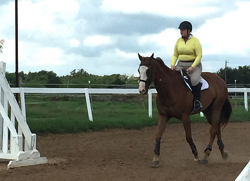 28703286613_252dba678b