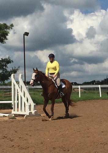 28703298053_73211de164