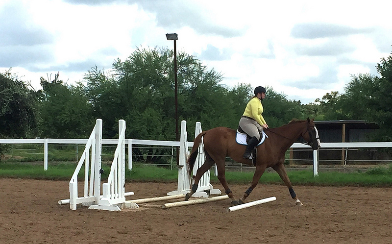 29216134342_b94113599e_c