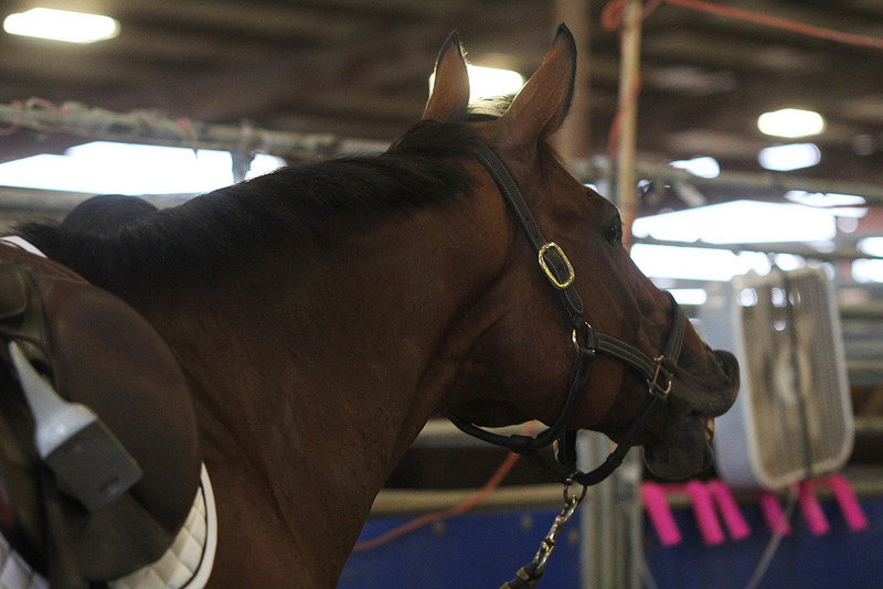 28384185593_60ecb7d010_c