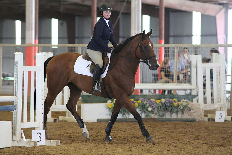 28384187933_343e5f43e9_c