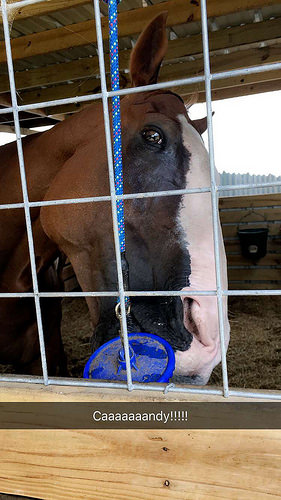 28901449004_31727f3570