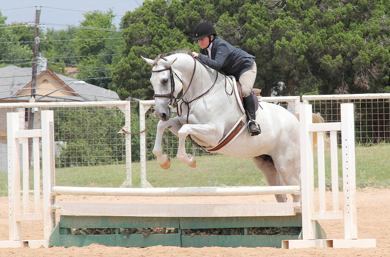 28968905826_3d7682af98_c