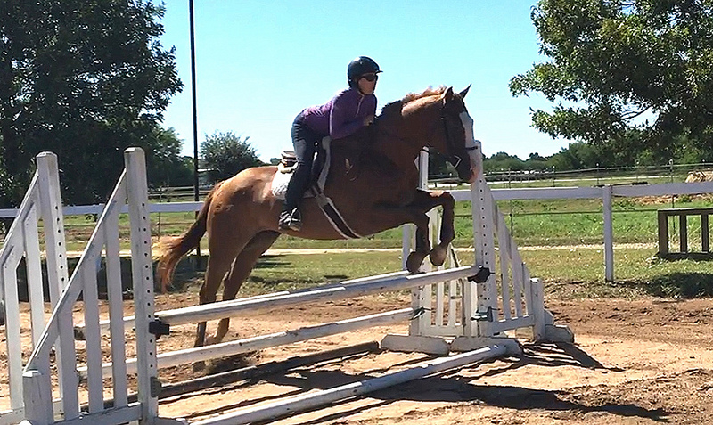 29893667842_802cee6c2e_c