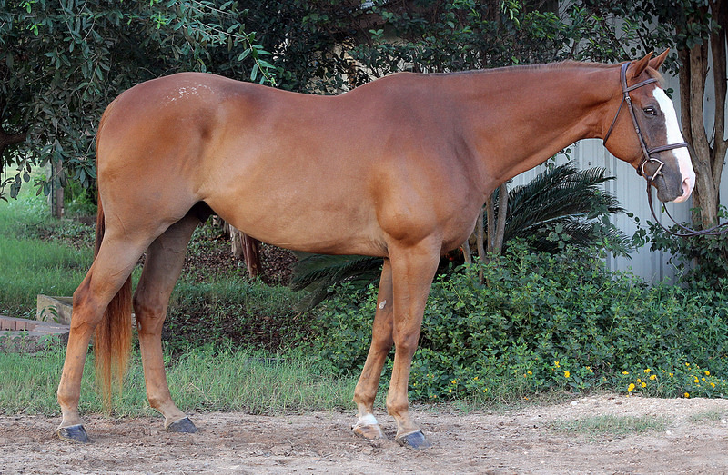 29956454156_e16303ac6f_c